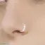 Nose ring
